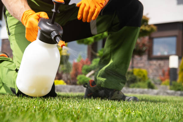 Best Pest Control Near Me  in Valley Falls, RI